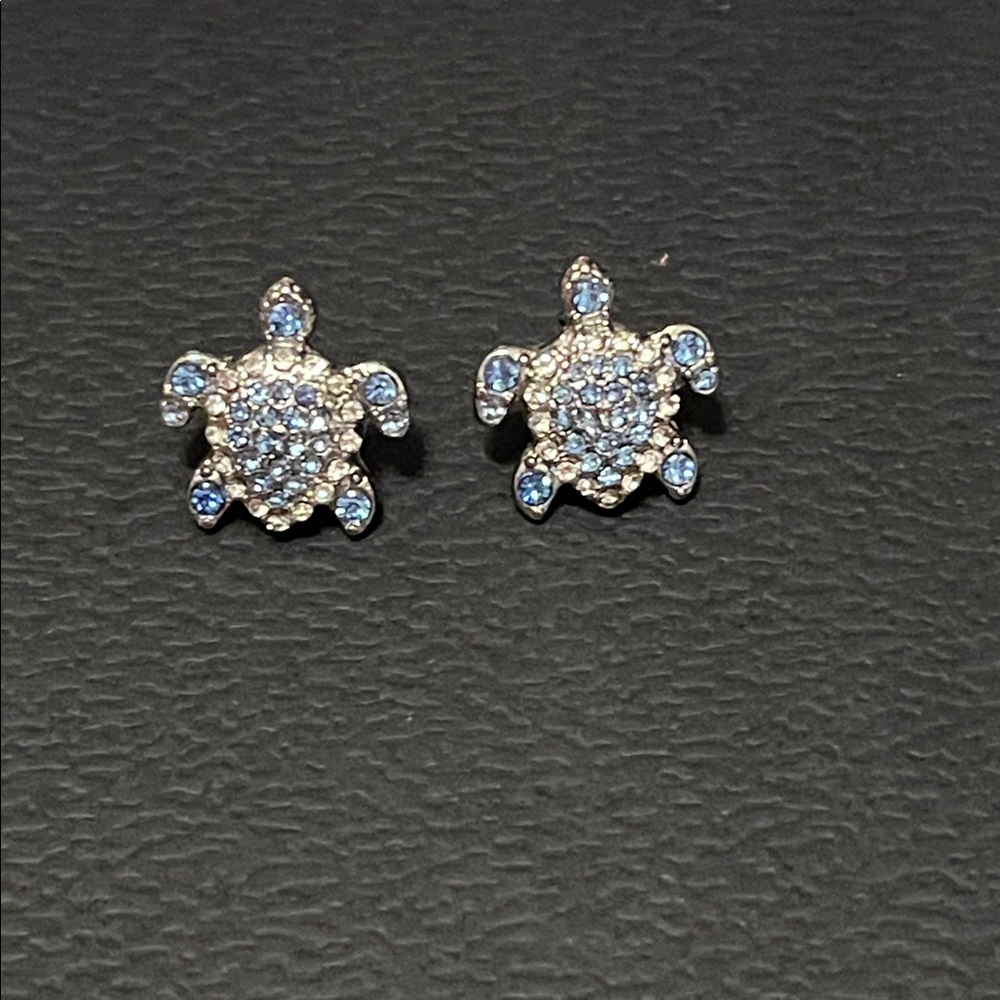 Style & Co. Silver and Blue Turtle Earrings